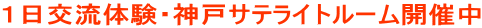 �P���𗬑̌��E�_�˃T�e���C�g���[���J�Ò�